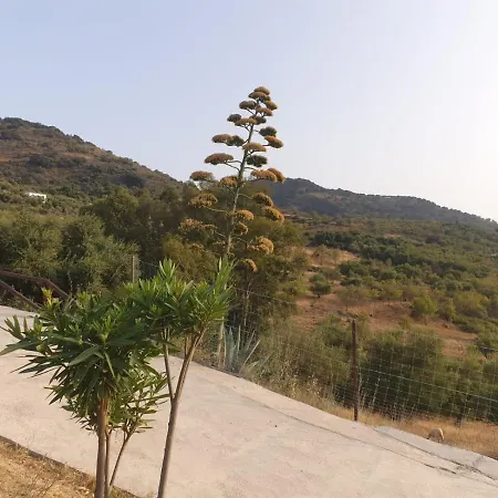 Encantadora Casa De Pueblo 7 Pax Con Gran Terraza *